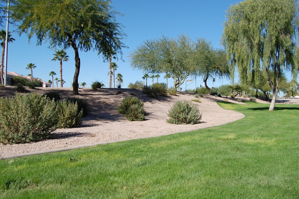 Pioneer Landscape Centers | 6101 S Mann Ave, Tucson, AZ 85756 | Phone: (520) 664-0200