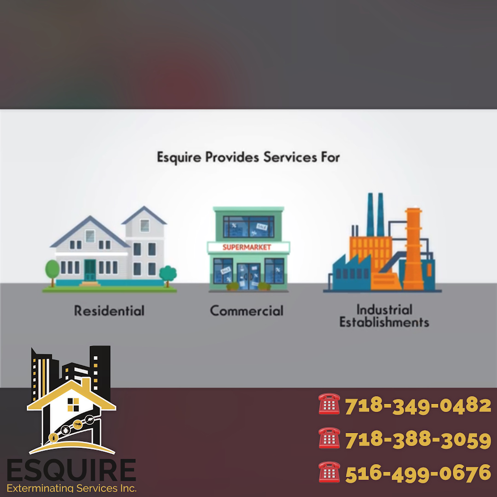 Esquire Exterminating Services Inc | 239 Nassau Ave, Brooklyn, NY 11222, USA | Phone: (718) 349-0482