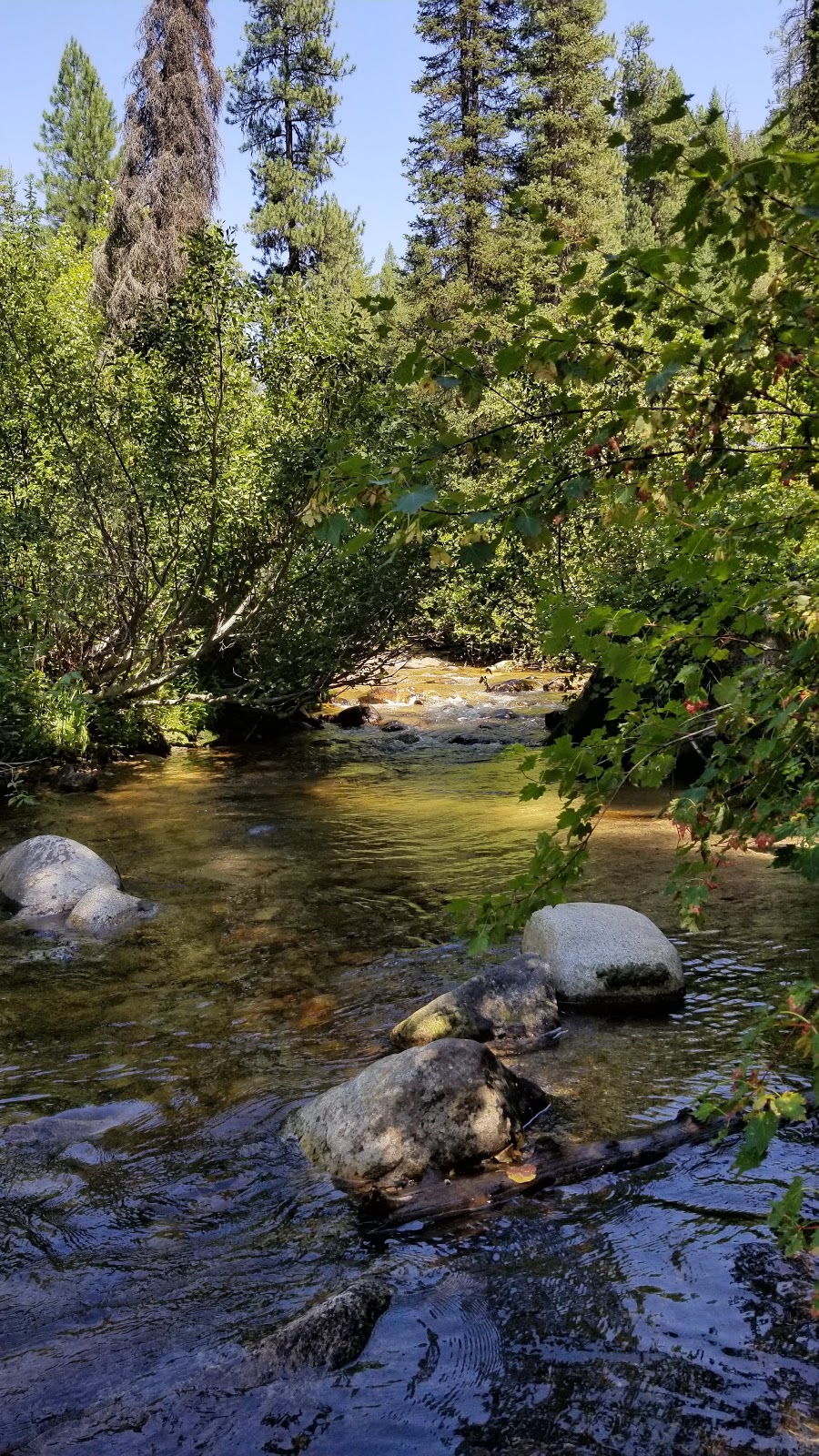 Ten Mile Campground | Boise National Forest, Forest Rd 025I, Idaho City, ID 83631, USA | Phone: (877) 444-6777