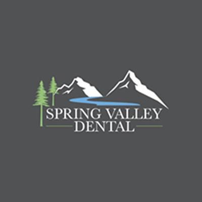 Spring Valley Dental | 1359 S Holland Sylvania Rd, Holland, OH 43528, USA | Phone: (419) 865-4441