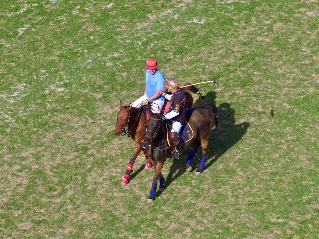 Arizona Polo Club | 29865 W Marsh Rd, Casa Grande, AZ 85193, USA | Phone: (480) 201-4530