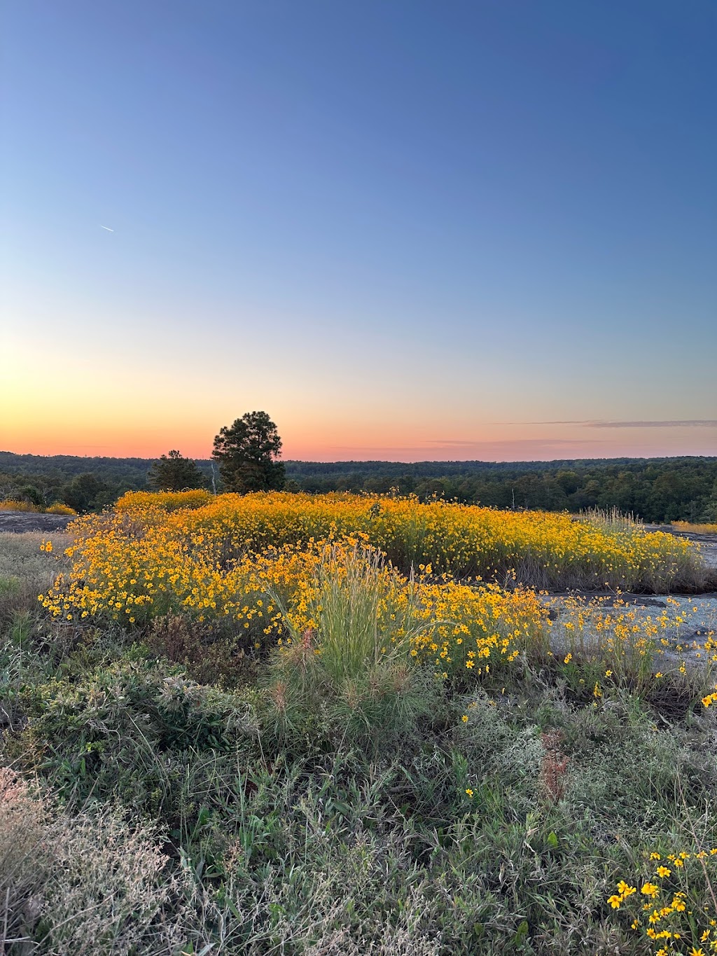 Arabia Mountain National Heritage Area | 3350 Klondike Rd, Stonecrest, GA 30038, USA | Phone: (404) 998-8384