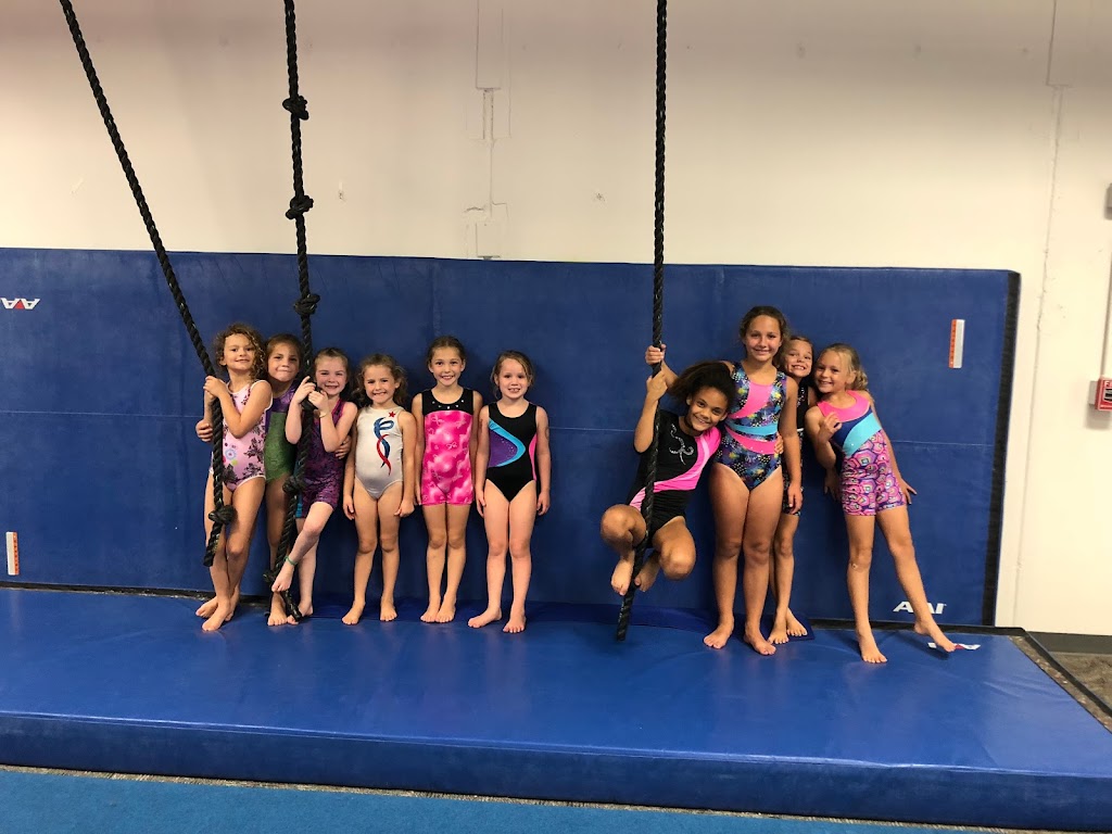 Lincoln Elite Gymnastics | 7480 N 56th St Suite1-4, Lincoln, NE 68514, USA | Phone: (402) 405-2115