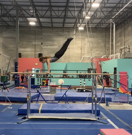 Dream Big Gymnastics | 6340 Ameriplex Dr #102, Portage, IN 46368, USA | Phone: (708) 650-0916