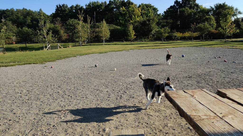Olson Dog Park | Off-leash Dog Play Area, 1551 Dhu Varren Rd, Ann Arbor, MI 48105, USA | Phone: (734) 794-6230