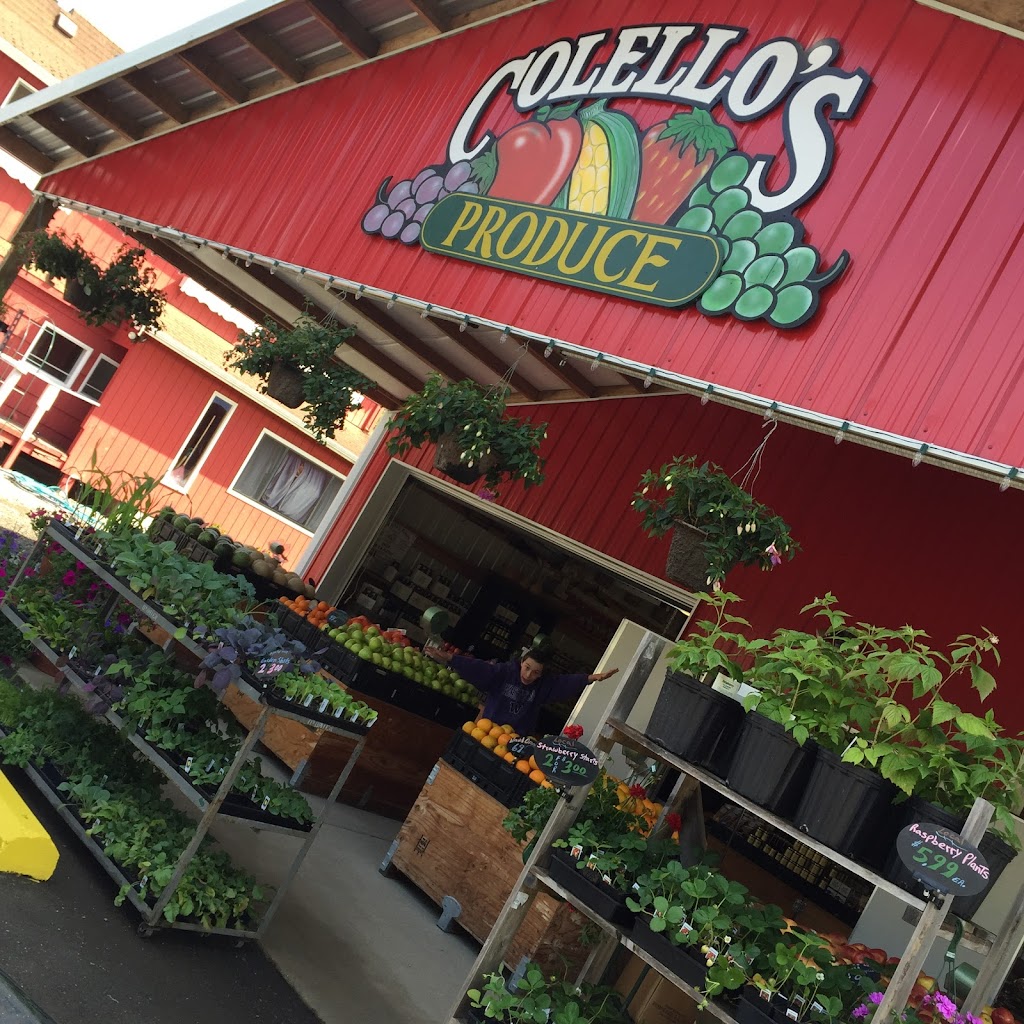 Colellos Farm Stand Produce | 5749 Bethel Rd SE, Port Orchard, WA 98367, USA | Phone: (360) 876-5277