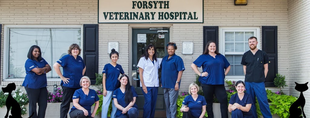 Forsyth Veterinary Hospital | 2556 S Stratford Rd, Winston-Salem, NC 27103, USA | Phone: (336) 765-1225