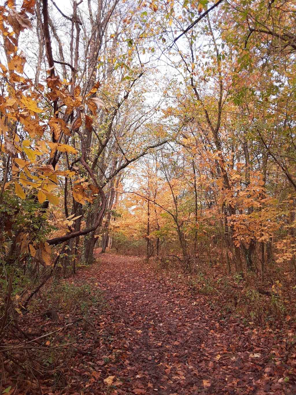 Cross Creek County Park Boat Launch | Avella, PA 15312, USA | Phone: (724) 258-2958