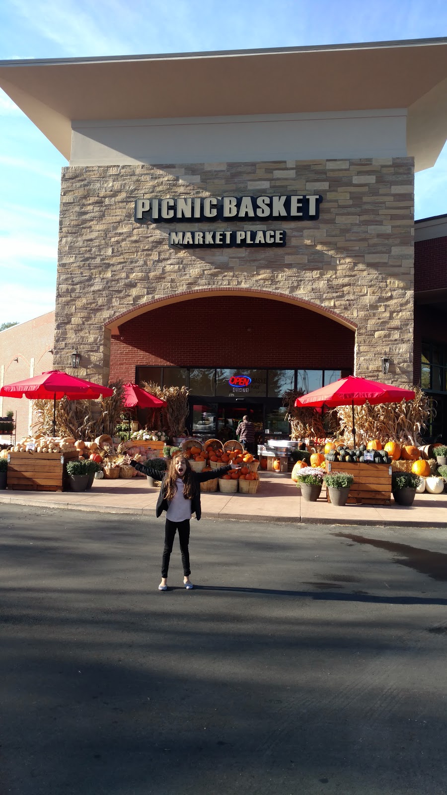 Picnic Basket | 49471 Ann Arbor Rd, Plymouth Charter Twp, MI 48170, USA | Phone: (734) 459-2227