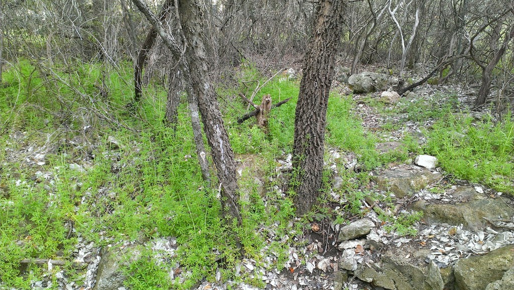 Goat Cave Karst Nature Preserve | 3900 Davis Ln, Austin, TX 78749, USA | Phone: (512) 974-9461