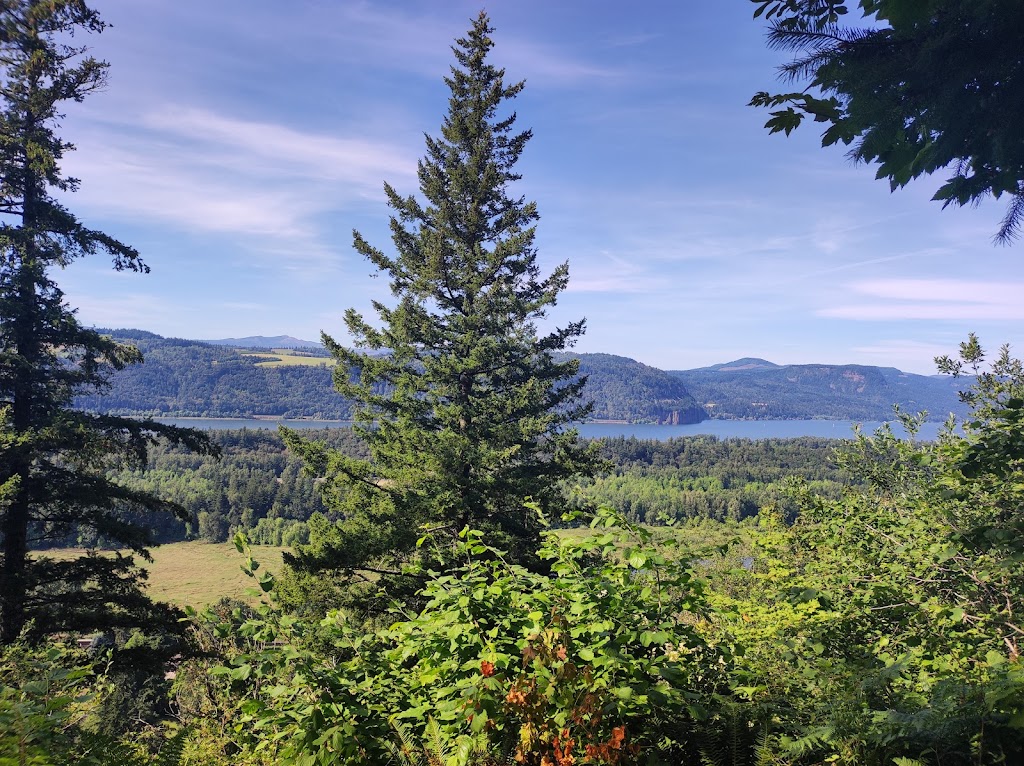 Latourell Falls | Historic Columbia River Hwy, Corbett, OR 97019, USA | Phone: (503) 695-2261