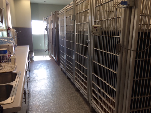 Animal Emergency Clinic | 22085 Commerce Wy, Grand Terrace, CA 92313, USA | Phone: (909) 825-9350