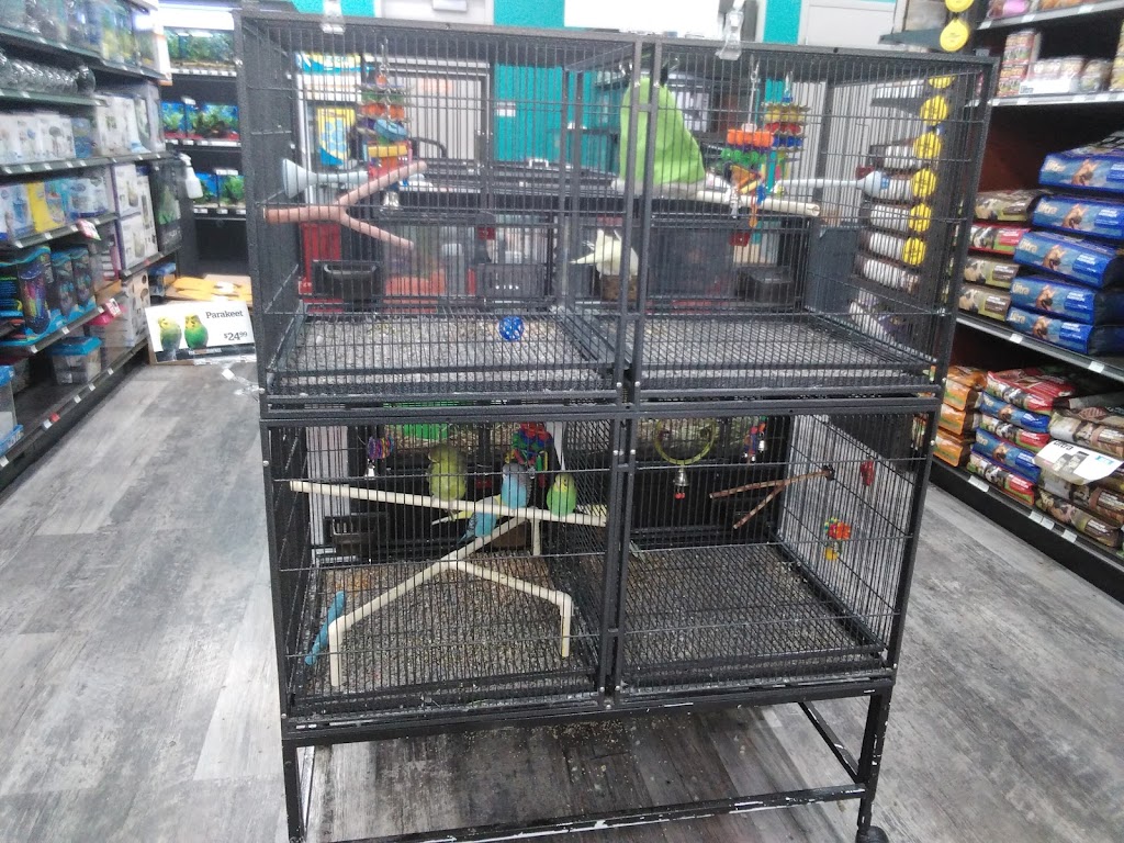 Pet Supermarket | 7067 Collins Rd, Jacksonville, FL 32244, USA | Phone: (904) 855-2930 Pet Supermarket | 7067 Collins Rd, Jacksonville, FL 32244, USA | Phone: (904) 855-2930