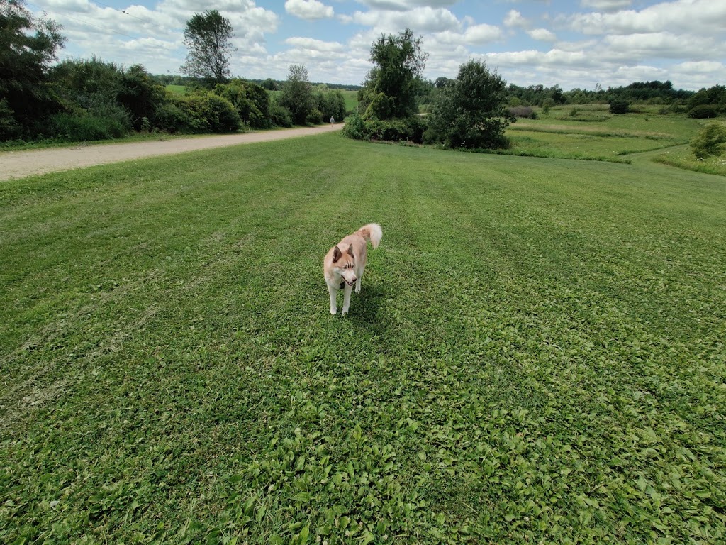 Prairie Moraine Dog Park | 6679 Wesner Ln, Verona, WI 53593, USA | Phone: (608) 224-3730