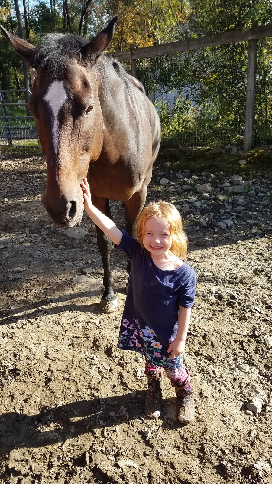 Victory Hill Therapeutic Horsemanship | 1138 Mountain Rd, Port Jervis, NY 12771, USA | Phone: (845) 843-0020