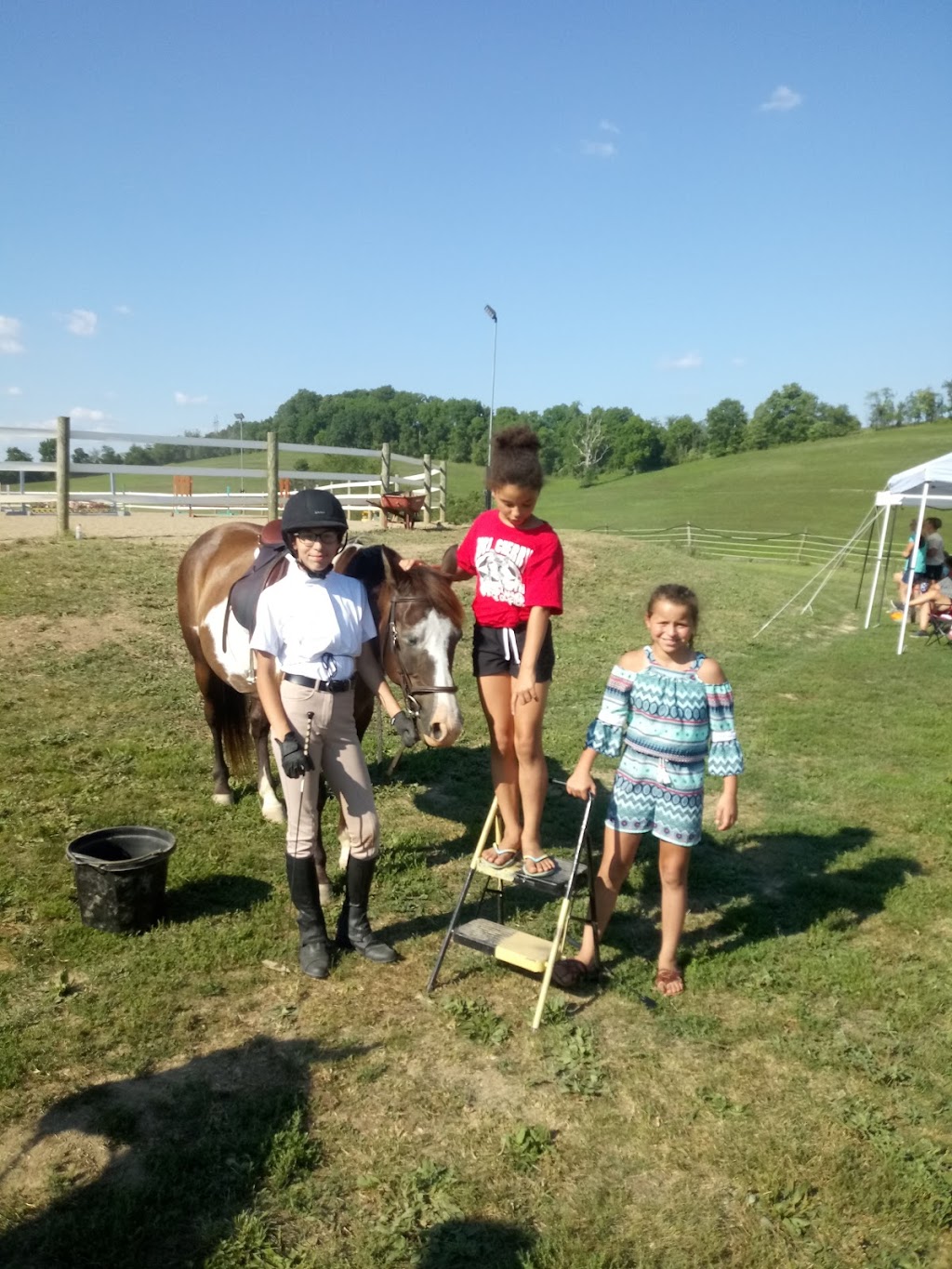 Pony Palooza Equine Education | 160 Eberle Rd, Hickory, PA 15340, USA | Phone: (412) 335-2665