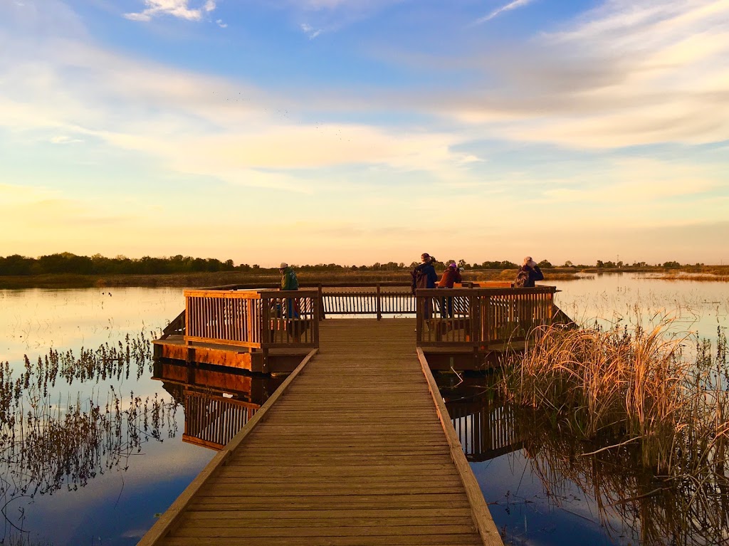 Cosumnes River Preserve | 13501 Franklin Blvd, Galt, CA 95632, USA | Phone: (916) 684-2816