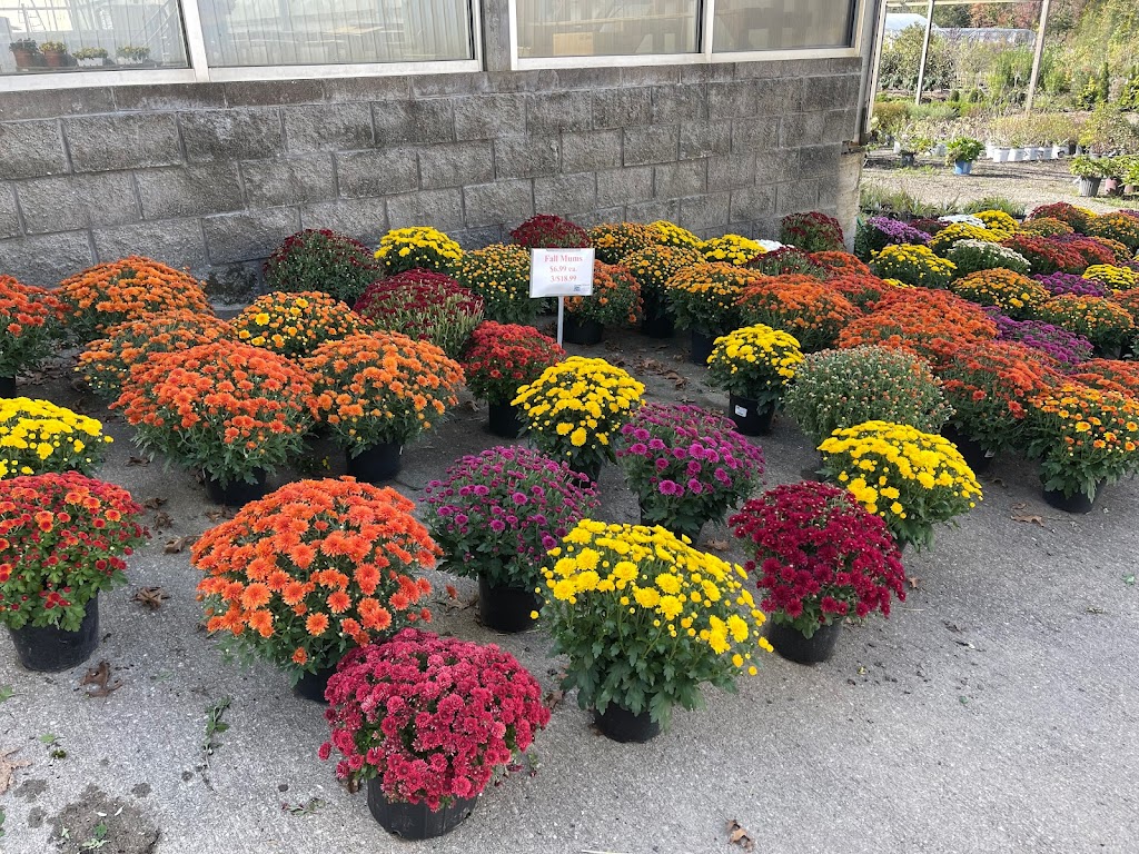 Iannettis Garden Center | 728 Steubenville Pike, Burgettstown, PA 15021, USA | Phone: (724) 729-3500