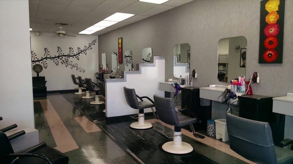 Mane Attraction Hair Studio | 204 Great Oaks Trail, Wadsworth, OH 44281, USA | Phone: (330) 336-8682