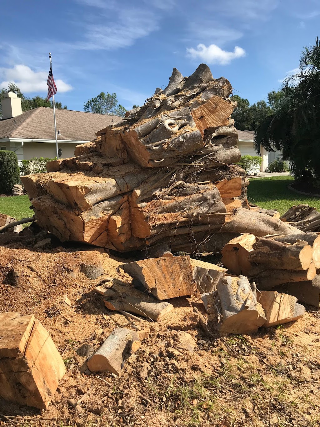 Troyer Tree Service | 6742 Richardson Rd, Sarasota, FL 34240, USA | Phone: (941) 371-7452