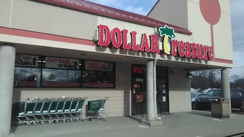 Dollar Treasure | 965 E Auburn Rd, Rochester Hills, MI 48307, USA | Phone: (248) 844-8814