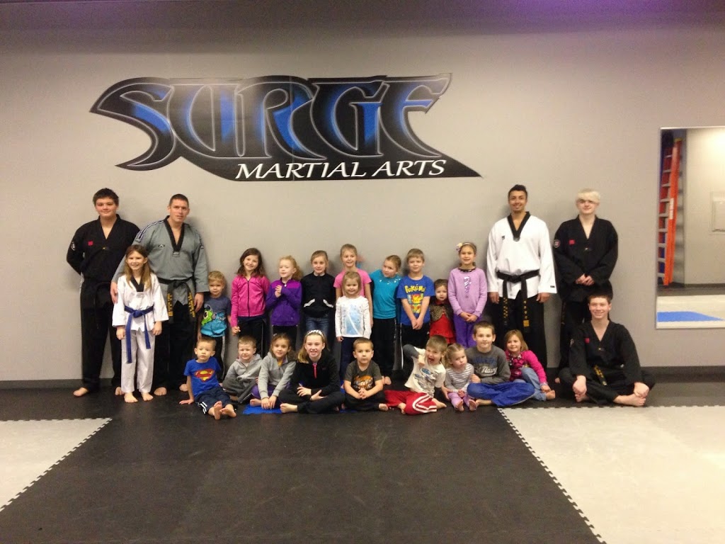 Surge Martial Arts | N56W14044 Silver Spring Dr #108, Menomonee Falls, WI 53051, USA | Phone: (262) 391-6306