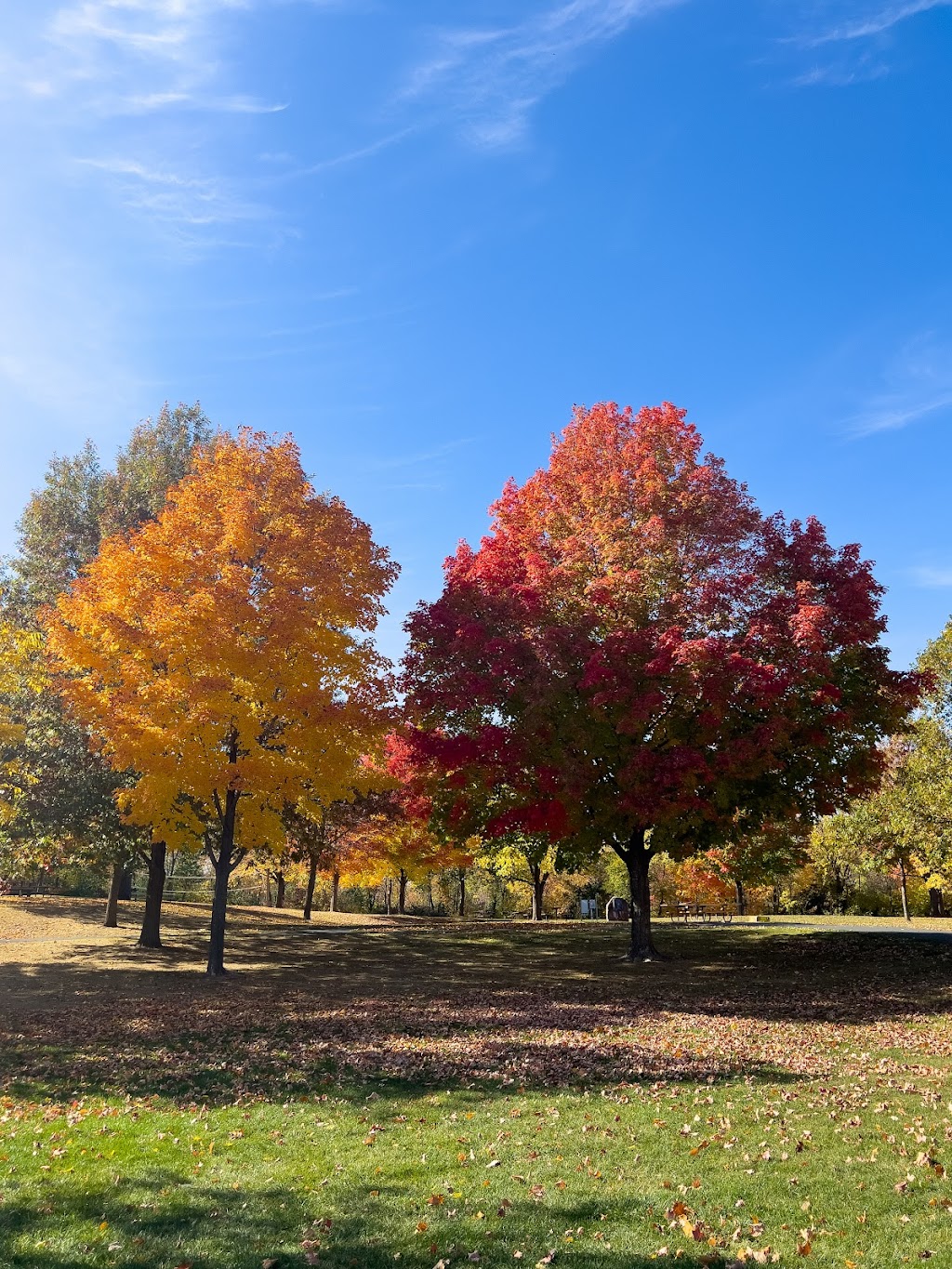 Elm Creek Park Reserve | 12400 James Deane Pkwy, Maple Grove, MN 55369, USA | Phone: (763) 694-7894