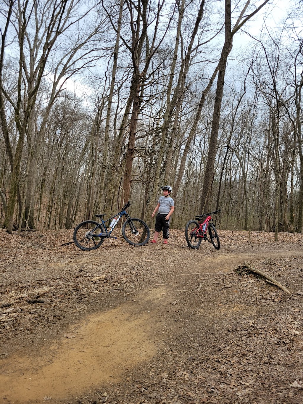 Lock 4 Mountain Bike Trailhead | Water Treatment Rd, Gallatin, TN 37066, USA | Phone: (615) 451-5911