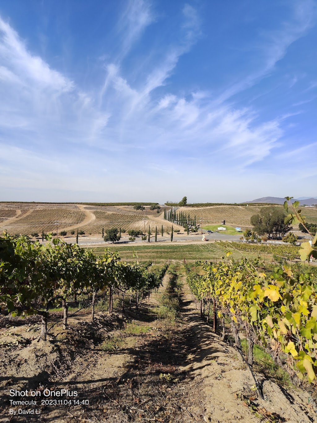 Bel Vino Winery | 33515 Rancho California Rd, Temecula, CA 92591, USA | Phone: (951) 676-6414