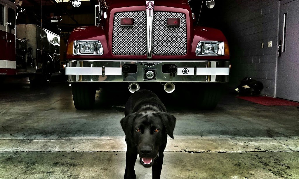 Leaksville Volunteer Fire Department | 146 Beddingfield Rd, Eden, NC 27288, USA | Phone: (336) 623-9020