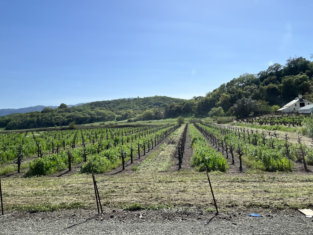 Viansa Winery | 25200 Arnold Dr, Sonoma, CA 95476, USA | Phone: (800) 995-4740