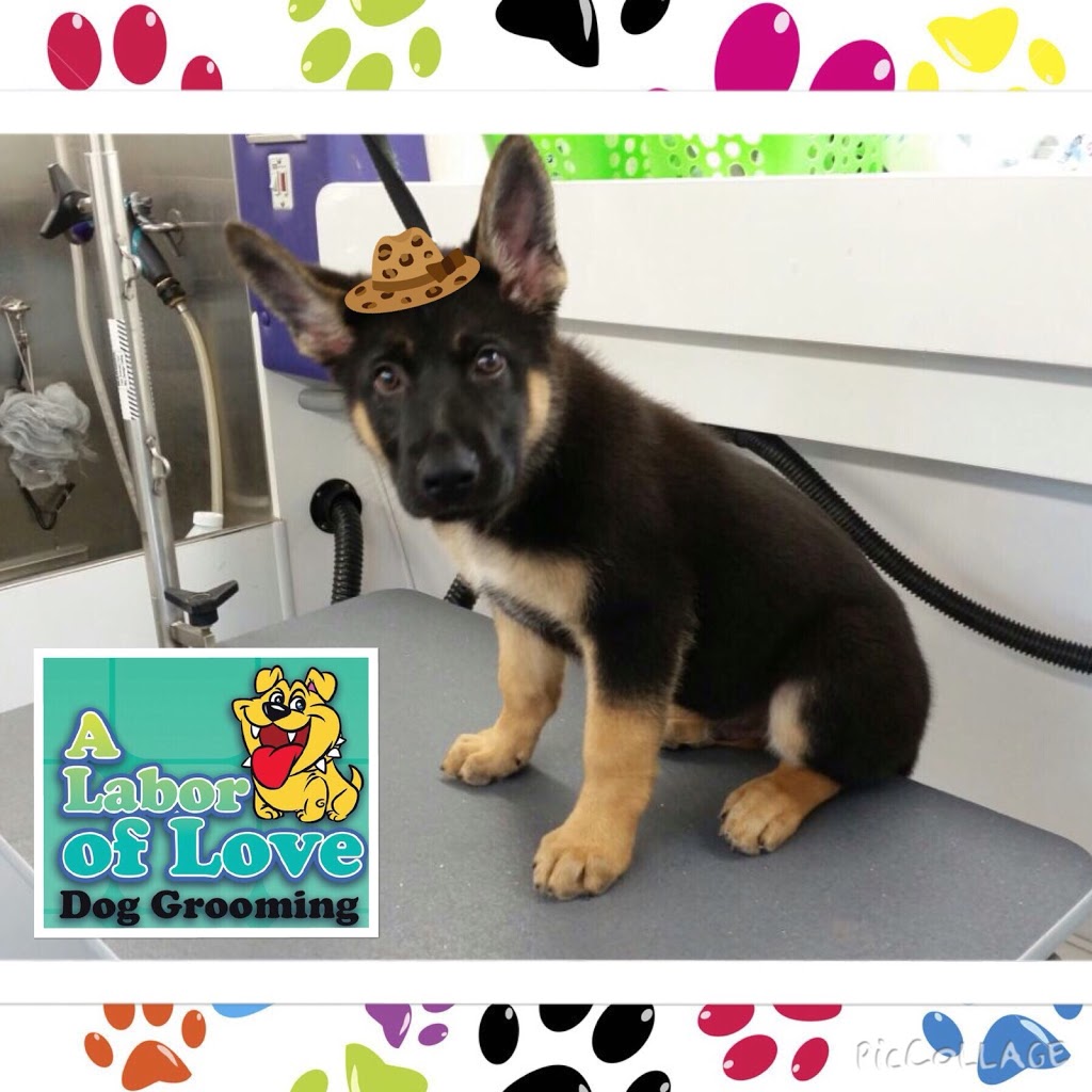 A Labor of Love Dog Grooming Salon | 10864 SW 104th St, Miami, FL 33176, USA | Phone: (305) 270-9170