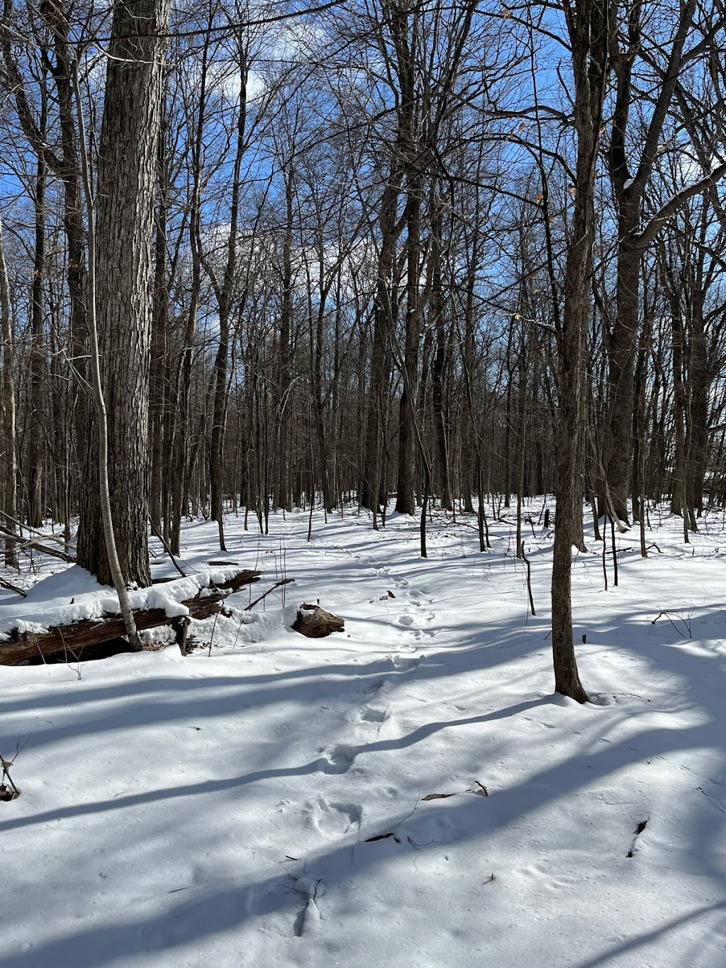 Buttonbush Nature Area | 3314 Sunton Rd, Ann Arbor, MI 48105, USA | Phone: (734) 794-6230