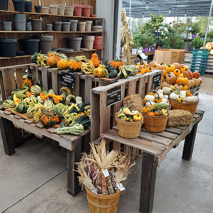 Earl May Garden Center | 4444 Howard Blvd, Columbus, NE 68601, USA | Phone: (402) 564-0622