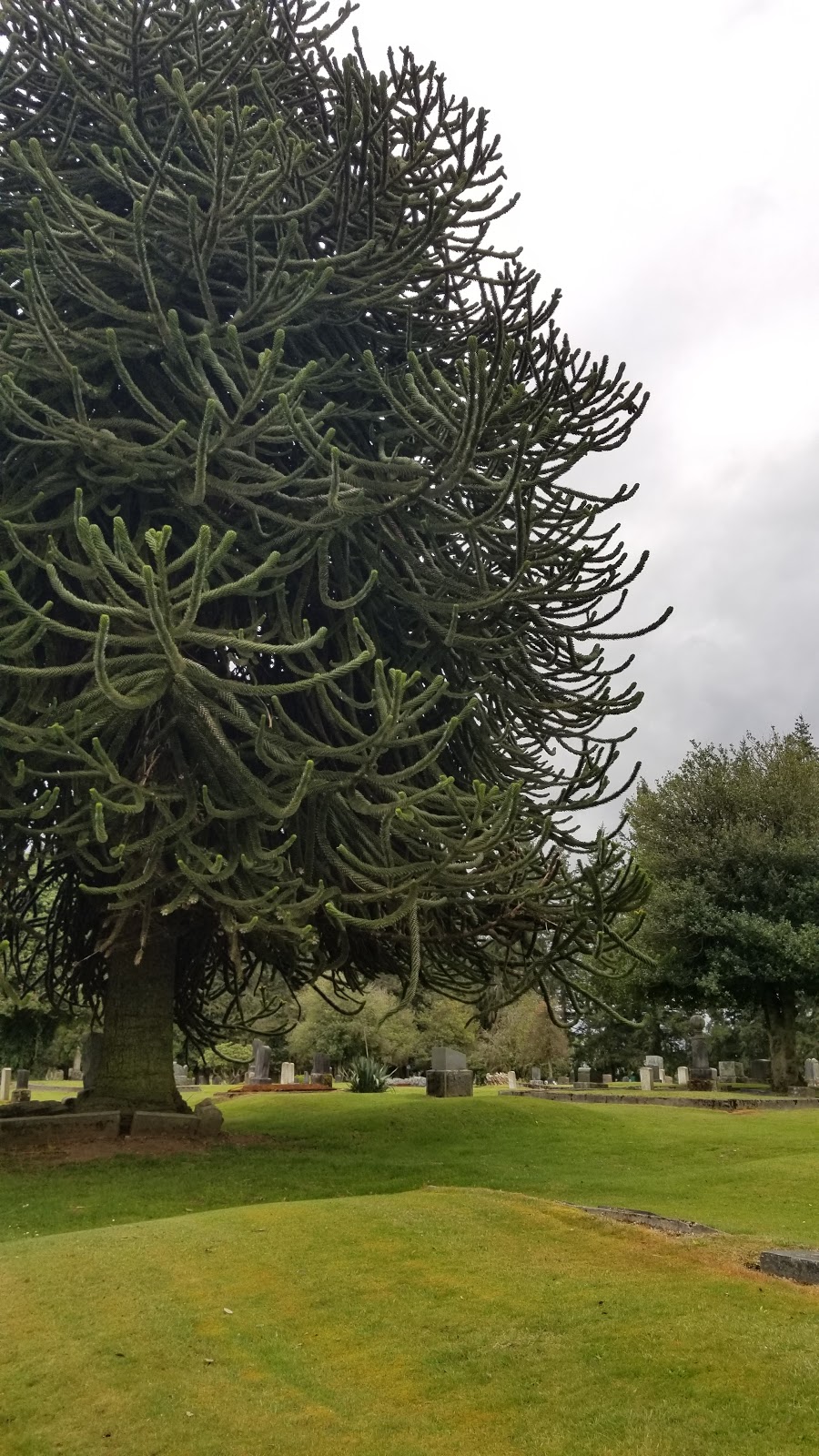 Grand Army of the Republic Cemetery | 8601 Riverview Rd, Snohomish, WA 98290, USA | Phone: (360) 568-4090