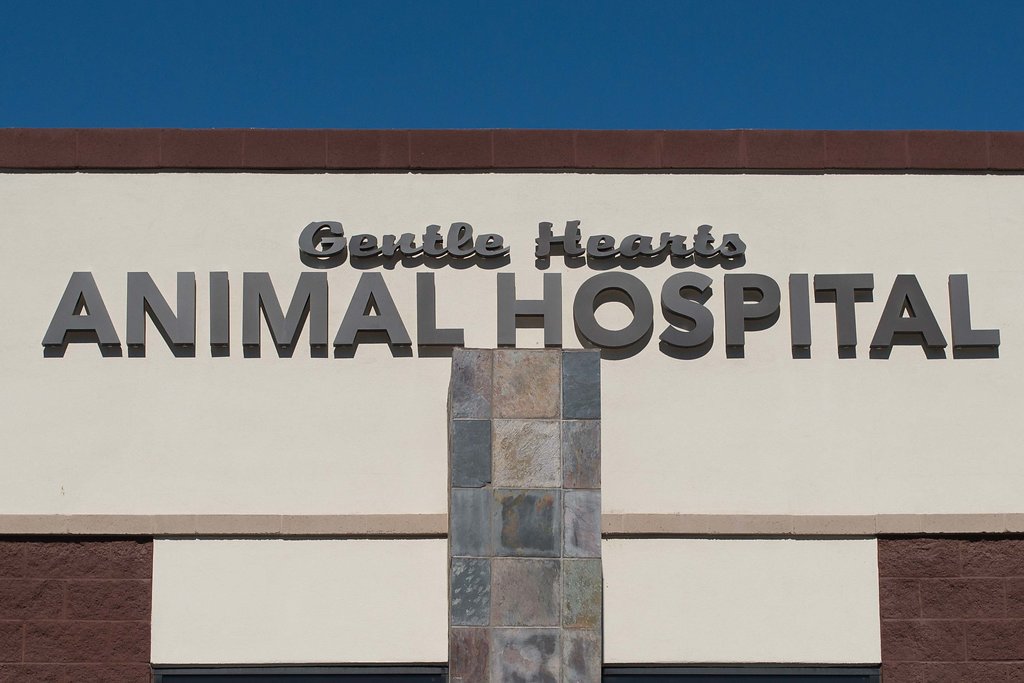 Gentle Hearts Animal Hospital | 14445 W McDowell Rd suite a-106, Goodyear, AZ 85395, USA | Phone: (623) 298-4200