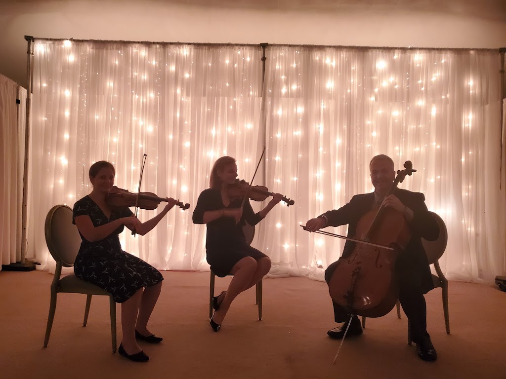 Will Hayes Wedding Cellist, Violin Lessons, Cello Lessons | 251 New Karner Rd, Albany, NY 12205, USA | Phone: (518) 242-0561