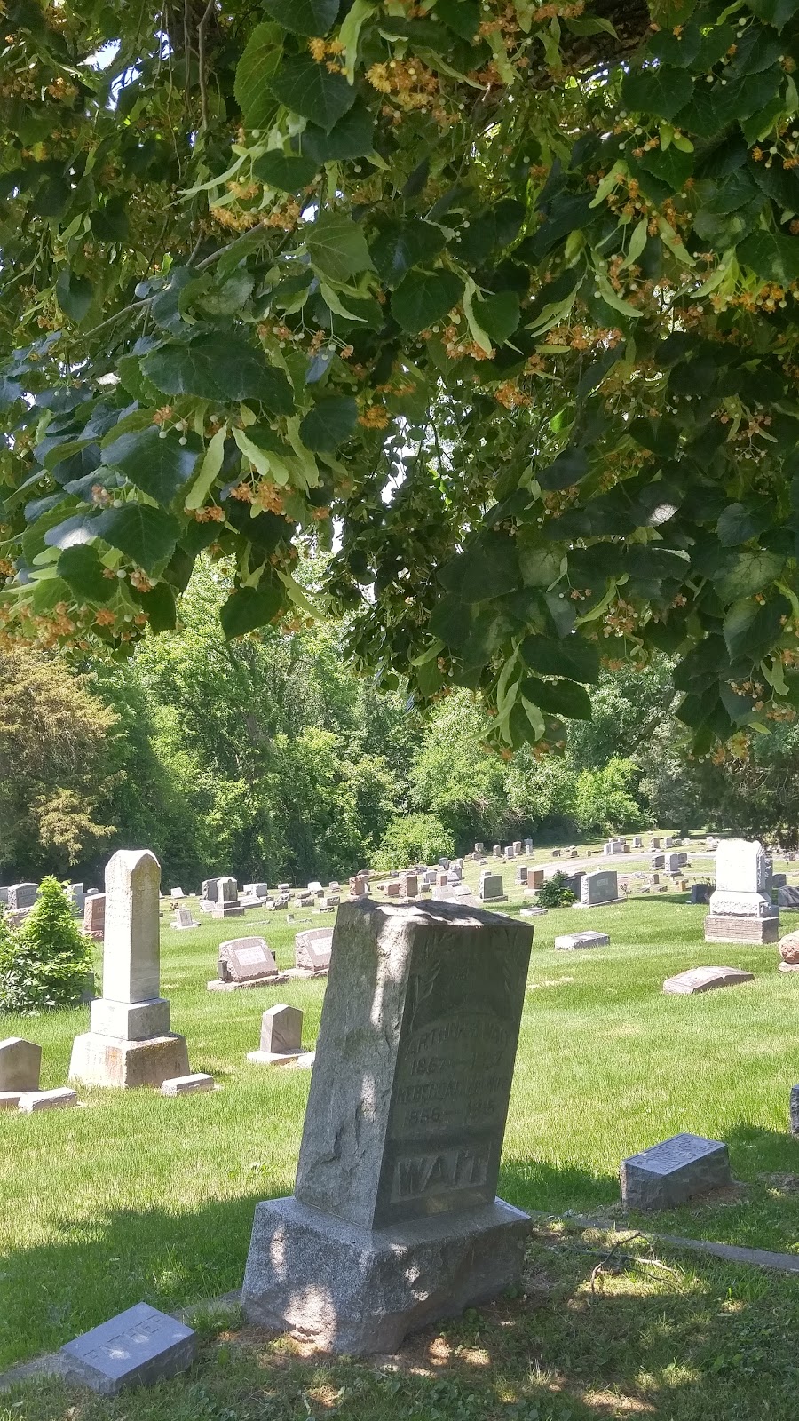 Montrose Cemetery | 701 Mill Hill Rd, Greenville, IL 62246, USA | Phone: (618) 664-1644