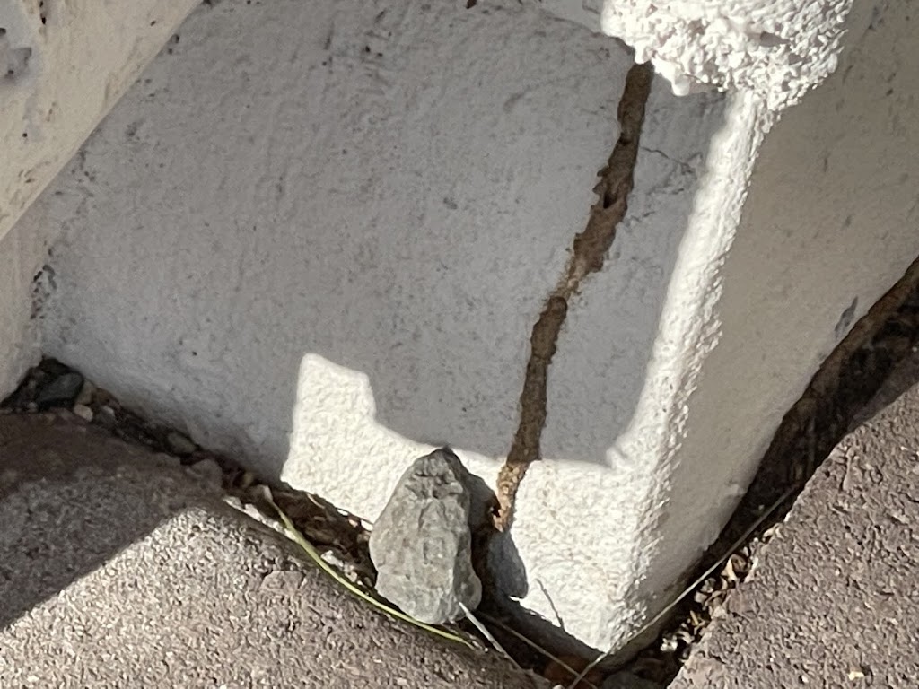 Hopper Pest Control LLC | 13801 S Tuthill Rd, Buckeye, AZ 85326, USA | Phone: (602) 908-6765