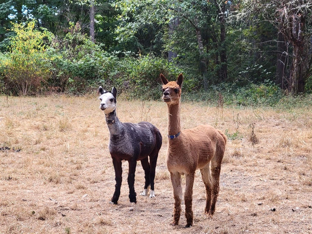 Courter Country Farm | 12000 Courter Ln NW, Poulsbo, WA 98370, USA | Phone: (360) 265-7374