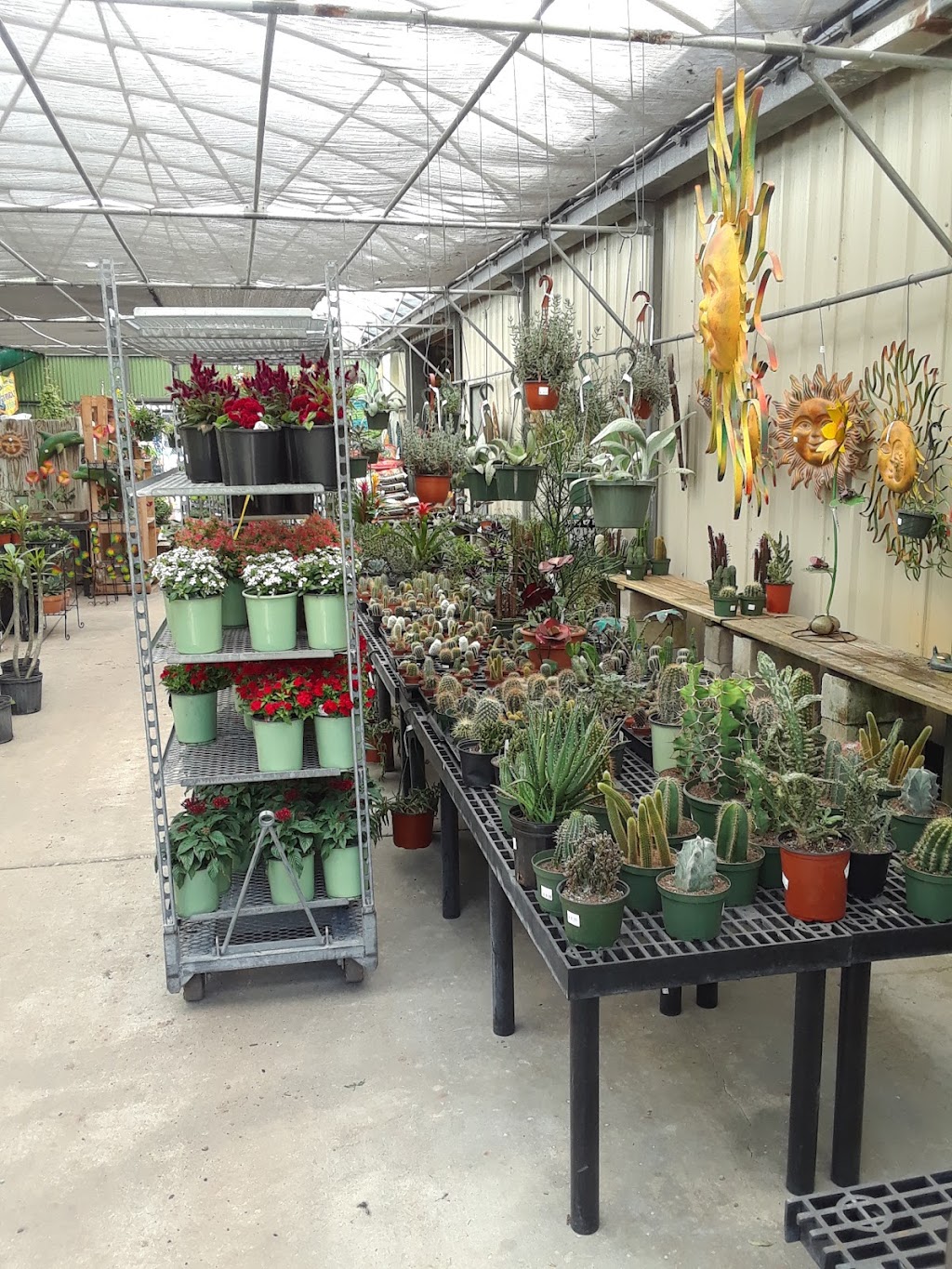 Plant Ranch Nursery | 14108 Beach Blvd, Jacksonville, FL 32250 | Phone: (904) 223-4546