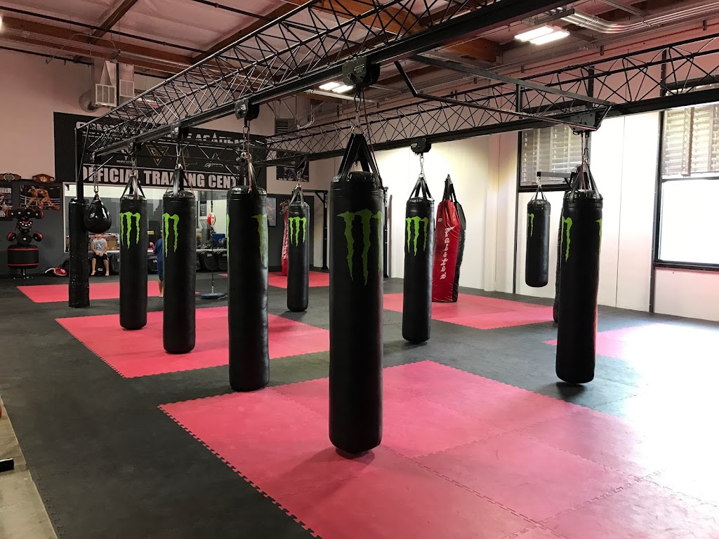 Combat Sports Academy | 6400 Sierra Ct a1, Dublin, CA 94568, USA | Phone: (925) 248-8963