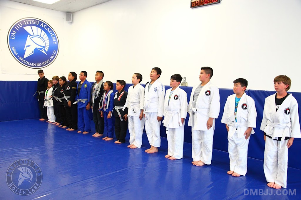 DM Brazilian Jiu-Jitsu Academy | 5543 Woodruff Ave, Lakewood, CA 90713, USA | Phone: (310) 800-5878