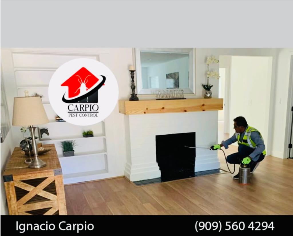 Fumigaciones Carpio | 6511 Myrtle Ct, Rancho Cucamonga, CA 91739, USA | Phone: (909) 560-4294