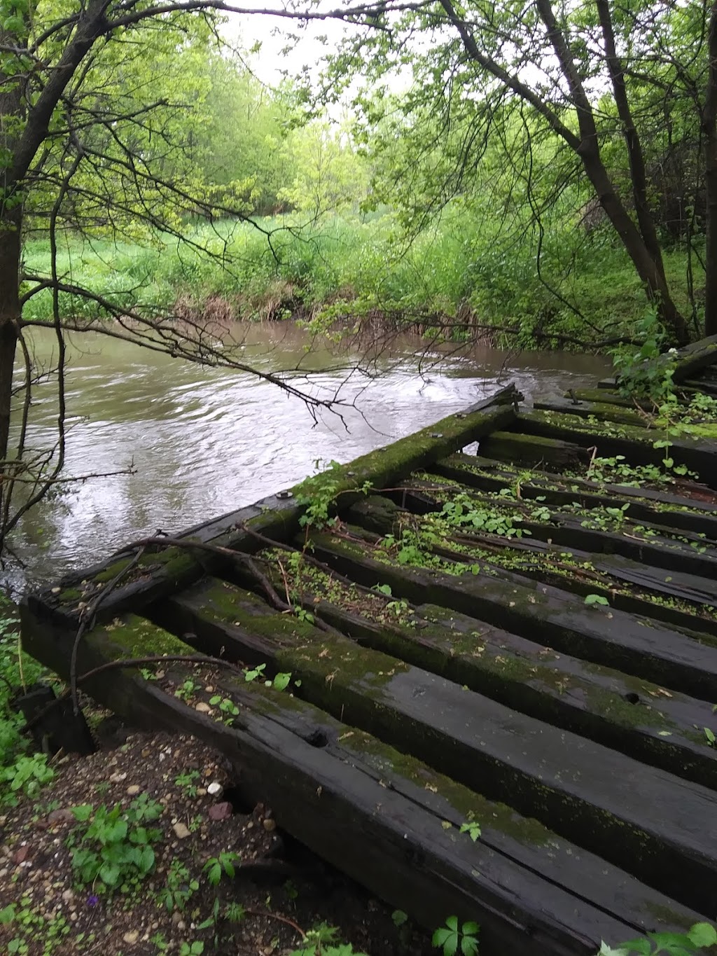 Kessler Railroad Prairie State Natural Area | Janesville, WI 53548, USA | Phone: (888) 936-7463