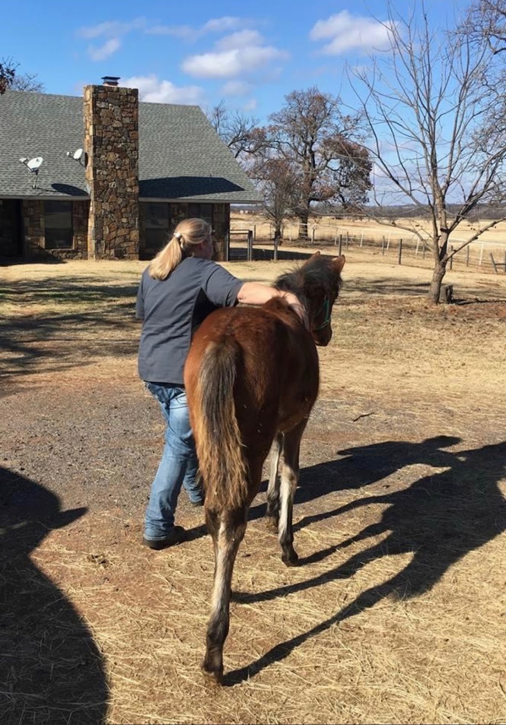 Topgun Veterinarian Services, LLC | 4046 Bookout Rd, Rock Hill, SC 29730, USA | Phone: (803) 369-8998