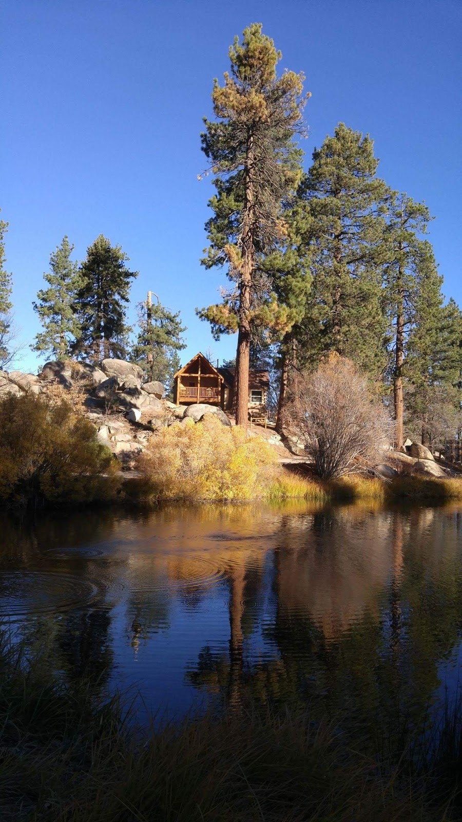 Cedar Lake Camp | 1100 Mill Creek Rd, Big Bear Lake, CA 92315, USA | Phone: (909) 866-5714