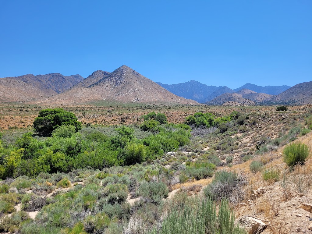 Canebrake Ecological Reserve | 27391 CA-178, Onyx, CA 93255, USA | Phone: (559) 243-4014