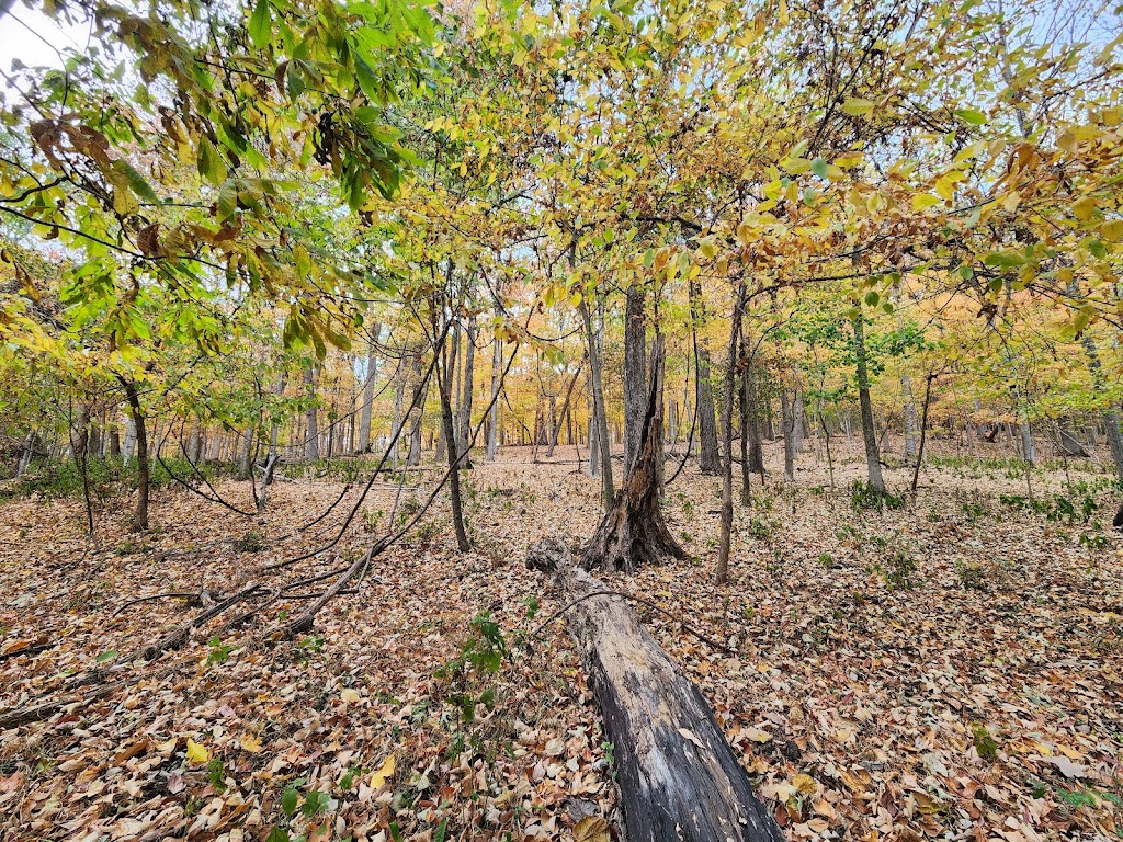 Radnor Lake State Park | 1160 Otter Creek Rd, Nashville, TN 37220, USA | Phone: (888) 867-2757