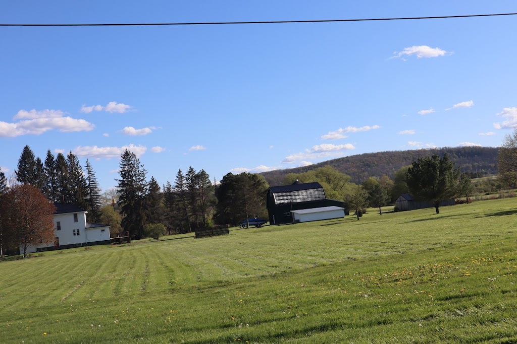 Misty Mountains Park | 5233 Maple Ln #9272, Cuba, NY 14727, USA | Phone: (585) 968-4005